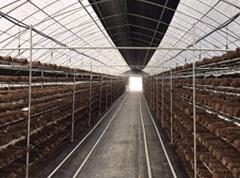 河北蒸汽工程-承德市某大棚育菌中心