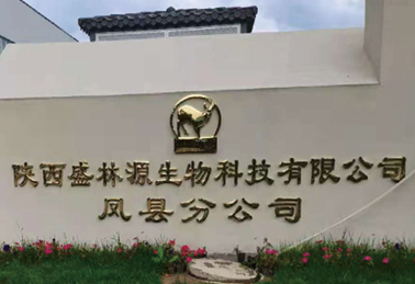 陕西蒸汽工程-陕西盛林源生物科技有限公司凤县