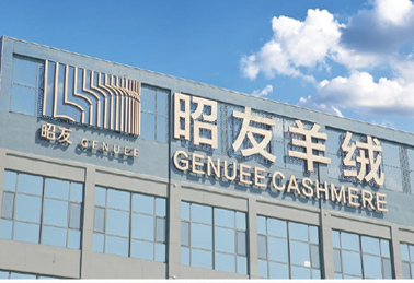 河北蒸汽工程-河北省昭友绒毛纺织有限公司