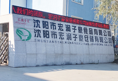 辽宁蒸汽工程-辽宁沈阳宏润子豪食品有限公司